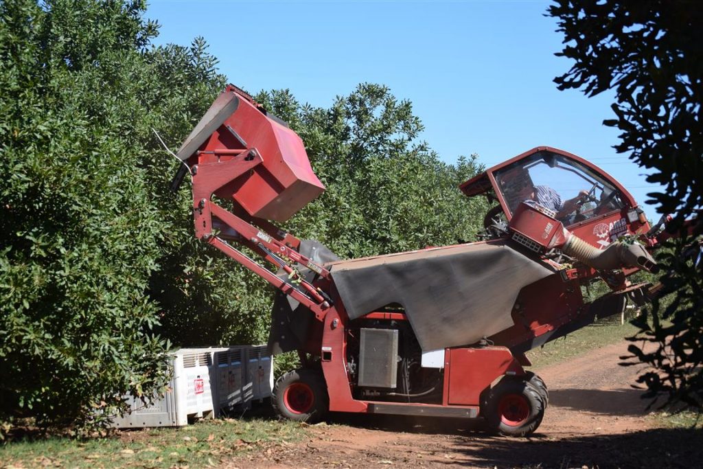 Macadamia & Pecan nuts X16 harvester X16 harvester