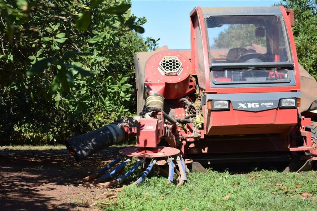 Macadamia & Pecan nuts X16 harvester X16 harvester